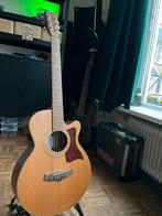Prachtige Tanglewood TW-145ASC, goed onderhouden, Muziek en Instrumenten, Snaarinstrumenten | Gitaren | Akoestisch, Ophalen of Verzenden