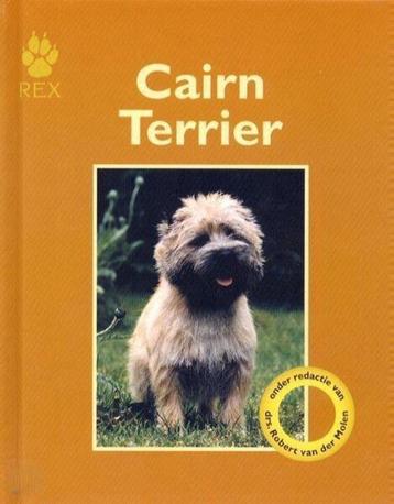 Cairn Terrier - Robert Jamieson   beschikbaar voor biedingen
