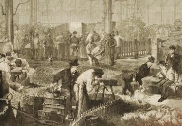 Pluimveemarkt Parijs - Antieke illustratie (1874) beschikbaar voor biedingen