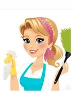 Huishoudelijke hulp, Overige niveaus, Vanaf 10 jaar, Overige vormen