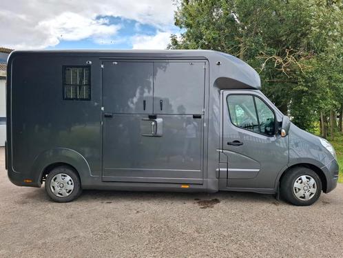 Paardenwagen STX Master Horsebox, Dieren en Toebehoren, Paarden en Pony's | Trailers en Aanhangwagens, Zo goed als nieuw, 2-paards trailer
