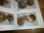 streeksieraden in zeeland deel 2 veel afb goud en zilver, Boeken, Ophalen of Verzenden, 20e eeuw of later, Nieuw