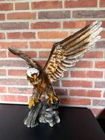 Zeearend, Ophalen, Zo goed als nieuw, Dierenbeeld