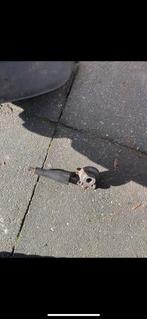 Teller Aandrijving Zip Type 1, 2 of 3, Fietsen en Brommers, Brommeronderdelen | Scooters, Ophalen of Verzenden, Gebruikt, Overige typen