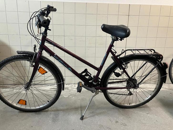 Leuke Kinderfiets - Bike Flyer, Fietsen en Brommers, Fietsen | Dames | Damesfietsen, Gebruikt, Overige merken, Minder dan 47 cm