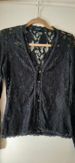 Kanten vestje Van der Mark, Kleding | Dames, Van der Mark, Zo goed als nieuw, Lange mouw, Maat 36 (S)