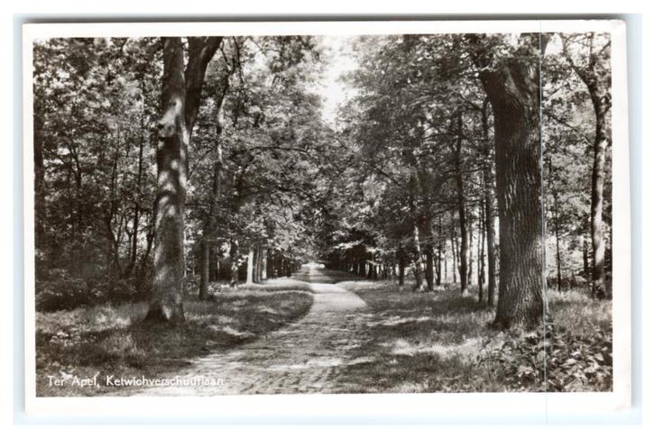 Ter Apel, Ketwichverschuurlaan, Verzamelen, Ansichtkaarten | Nederland, Ongelopen, Groningen, 1940 tot 1960, Verzenden