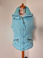 Esprit bodywarmer xl, Kleding | Dames, Bodywarmers, Gedragen, Blauw, Ophalen of Verzenden, Maat 46/48 (XL) of groter