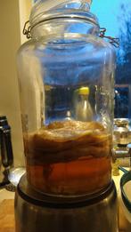 Kombucha SCOBY skoby gratis, Ophalen
