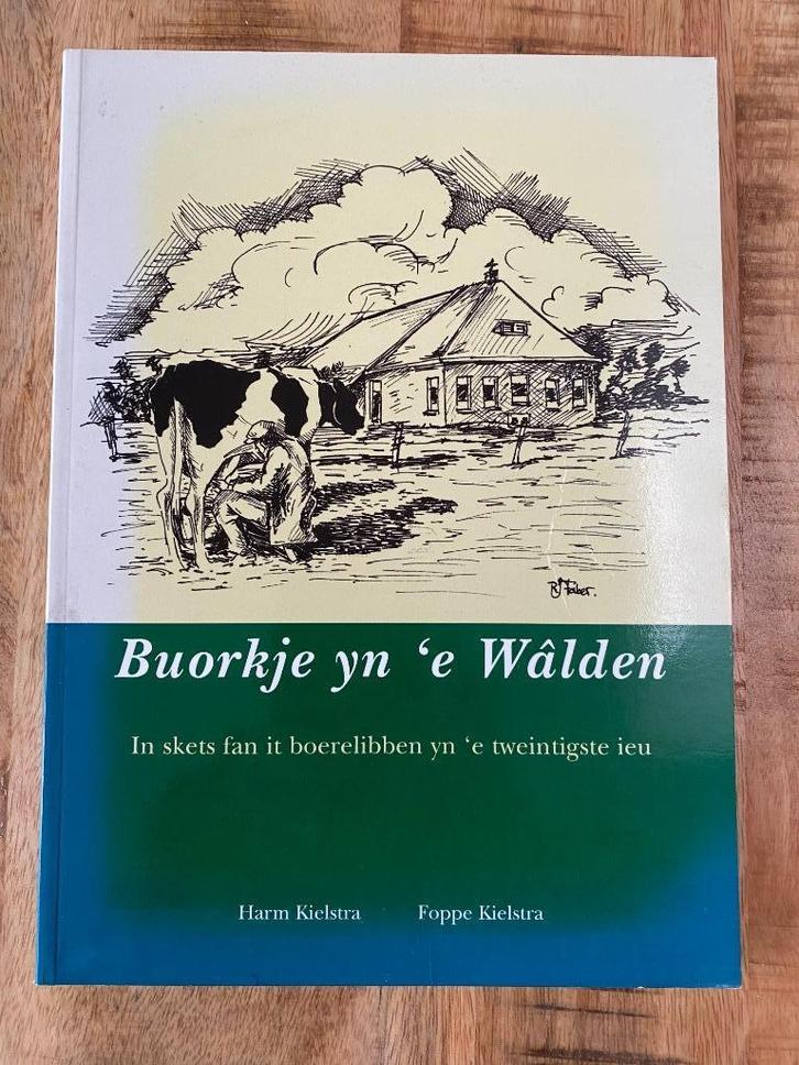 Buorkje yn é Walden - Boeren Friesland, Boeken, Geschiedenis | Stad en Regio, Zo goed als nieuw, 20e eeuw of later, Ophalen of Verzenden