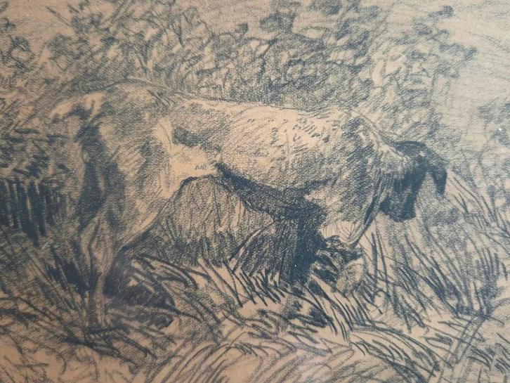 "Staander" van Johan Hendrik Van Mastenbroek, Antiek en Kunst, Kunst | Tekeningen en Foto's, Ophalen of Verzenden