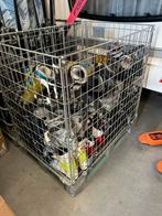 Partij skischoenen, Sport en Fitness, Ophalen, 160 tot 180 cm, Gebruikt, Schoenen