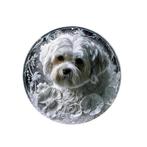 Vintage aluminium ronde bordjes Honden (20x20cm), Huis en Inrichting, Woonaccessoires | Wanddecoraties, Ophalen of Verzenden, Nieuw