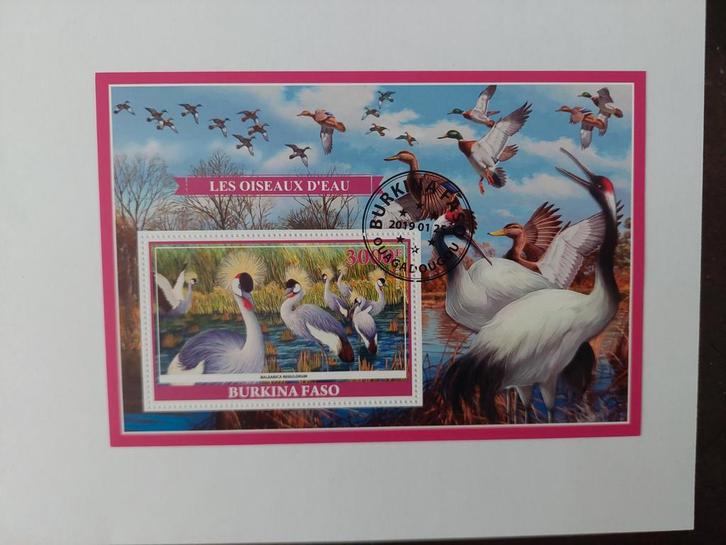 095 Motief, Dier, Dieren, Vogel, Vogels, Postzegels en Munten, Postzegels | Thematische zegels, Gestempeld, Dier of Natuur, Ophalen of Verzenden