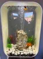 Biorb Life 60 MCR • 60 L • Glanzend wit • Zo goed als nieuw, Dieren en Toebehoren, Vissen | Aquaria en Toebehoren, Ophalen, Zo goed als nieuw
