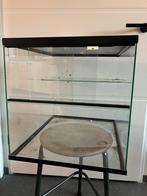 Terrarium helemaal glas 40 bij 40 en 50 cm hoog, Dieren en Toebehoren, Reptielen en Amfibieën | Toebehoren, Terrarium of Paludarium