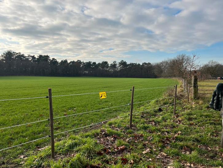 Pensionstalling aangeboden met diverse opties, Dieren en Toebehoren, Stalling en Weidegang, Weidegang