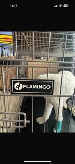 Zware zgan honden nench, Ophalen, Zo goed als nieuw