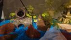 Granalen tekoop, Dieren en Toebehoren, Vissen | Aquariumvissen, Vis
