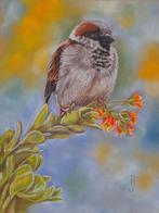 OPRUIMING schilderij mus 302 - eigen werk - mussen vogel, Ophalen of Verzenden