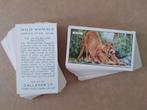 Wild Animals complete set 48 cigarette cards 1937 dieren, Ophalen of Verzenden