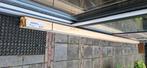 Plank, Doe-het-zelf en Verbouw, Hout en Planken, Ophalen, Minder dan 25 mm, Nieuw, Plank