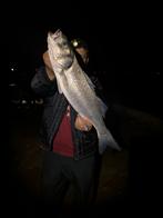 Misterseabass Minnows - Zeebaars Lokkers, Watersport en Boten, Ophalen of Verzenden, Nieuw, Haak