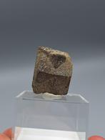 Stauroliet - New Mexico, USA, Ophalen of Verzenden, Mineraal