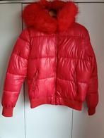 Winterjas rood, Kleding | Dames, Ophalen, Maat 36 (S), Rood, Noemi kent