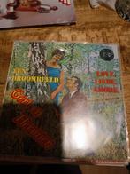 Gert & Hermien - een droombeeld, Cd's en Dvd's, Vinyl | Nederlandstalig, Ophalen of Verzenden, Zo goed als nieuw, Overige formaten