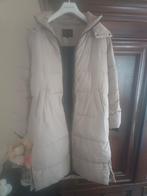 Dames winterjas, Kleding | Dames, Jassen | Winter, Ophalen, Nieuw