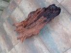 Mooi groot stuk hout voor in het aquarium +/- 1 meter, Ophalen, Plant(en), Steen of Hout