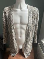 Beige donkerblauw vest L vesten cardigan dameskleding, Verzenden, Gedragen, Maat 42/44 (L), Beige