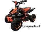 Elektrische kinderquad / quads. 1000watt 36 volt Nieuw!