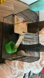Hamster kooi, Kooi, Minder dan 75 cm, Zo goed als nieuw, Hamster