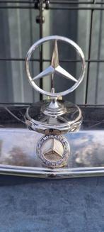 Showkast, display kast van een klassieke Mercedes grille😎, Ophalen of Verzenden, Gebruikt, Auto's