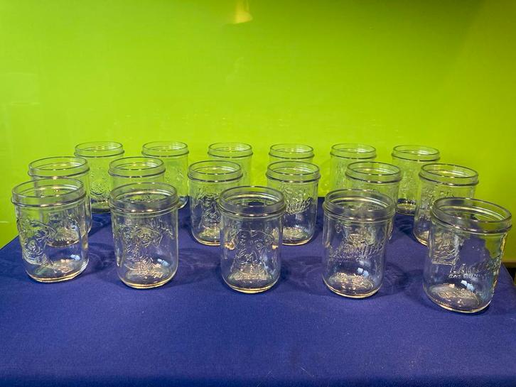 Lagunitas Bierglazen Set (17 stuks) - Hond Reliëf, Huis en Inrichting, Keuken | Keukenbenodigdheden, Zo goed als nieuw, Ophalen of Verzenden