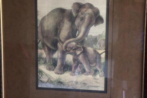 Kunstwerk ,schilderij door August Specht, Huis en Inrichting, Woonaccessoires | Schilderijen, Tekeningen en Foto's, Nieuw, Overige typen