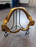 Haaienkaak met bladgoud - Deco Object, Antiek en Kunst, Ophalen of Verzenden