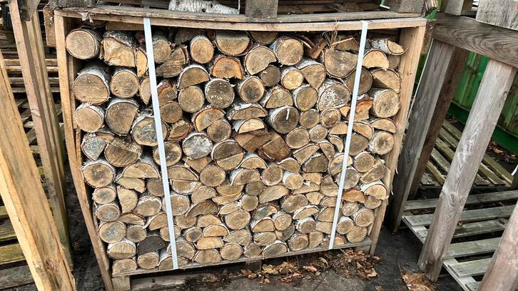 Berkenhout gedroogd, Tuin en Terras, Haardhout, Stammen, Berkenhout, 6 m³ of meer, Ophalen