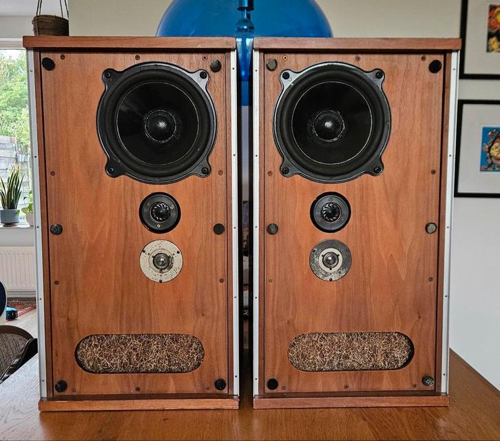 B&W dm2a, Audio, Tv en Foto, Luidsprekers, Zo goed als nieuw, Front, Rear of Stereo speakers, Overige merken, Ophalen