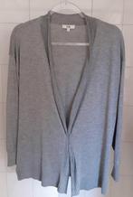 Vest, Maat 38/40 (M), Ophalen of Verzenden, Zo goed als nieuw, Grijs