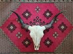 Schedel chinese yak koe, Huis en Inrichting, Woonaccessoires | Overige, Ophalen, Zo goed als nieuw