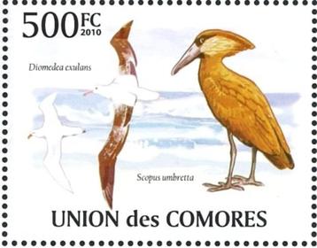 2010 Comoren Fauna vogels Ooievaar  Reiger beschikbaar voor biedingen