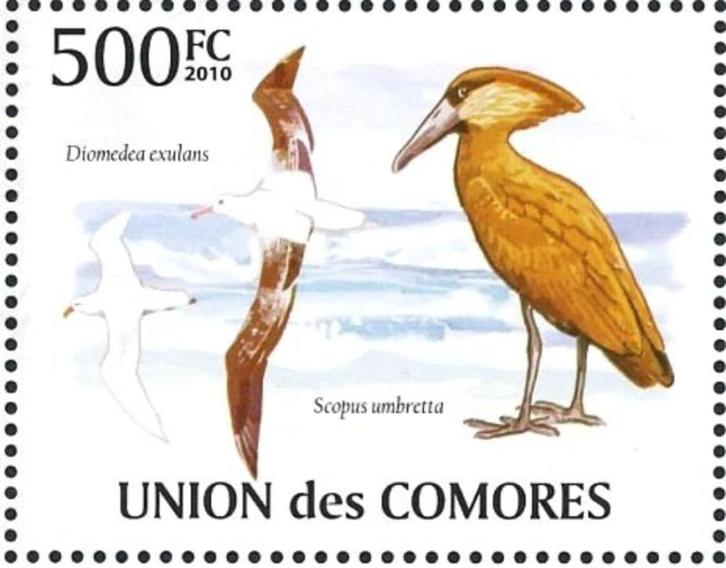 2010 Comoren Fauna vogels Ooievaar  Reiger, Postzegels en Munten, Postzegels | Thematische zegels, Postfris, Dier of Natuur, Ophalen of Verzenden