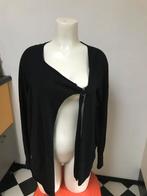 Alchemist Zwart wol wollen zijde vestje asymmetrisch l, Kleding | Dames, Zwart, Maat 42/44 (L), Ophalen of Verzenden, Zo goed als nieuw