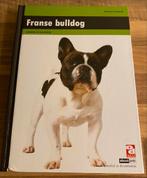 Franse bulldog, Ophalen of Verzenden, Zo goed als nieuw, Honden, Adriaan Louwrier