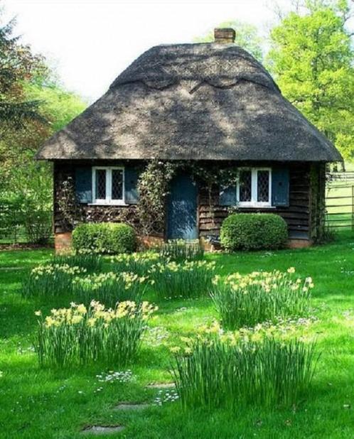 GEZOCHT vrijstaand huisje  overijssel drenthe groningen, Contacten en Berichten, Huisgenoten gezocht