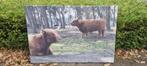 Canvas Hooglanders, Ophalen, Gebruikt, Schilderij, 100 tot 125 cm