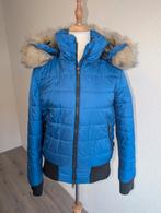 Pikeur jas maat 38, Ophalen of Verzenden, Zo goed als nieuw, Dressuur, Bovenkleding